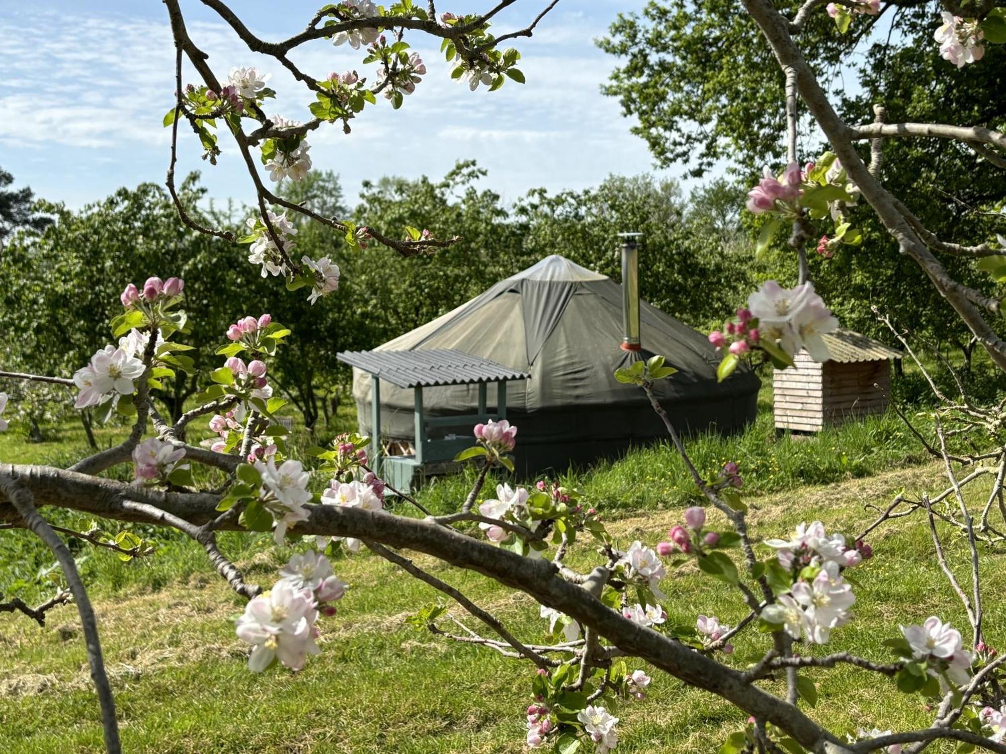 Villa Dragon Orchard Retreat Ledbury Exterior foto